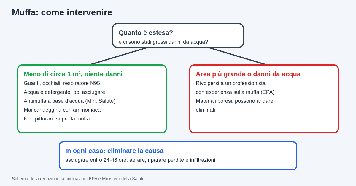 Schema per decidere come intervenire: muffa su meno di circa 1 metro quadrato pulibile in autonomia con protezioni, area più grande o grossi danni da acqua da affidare a un professionista, e in ogni caso eliminare la causa dell'umidità