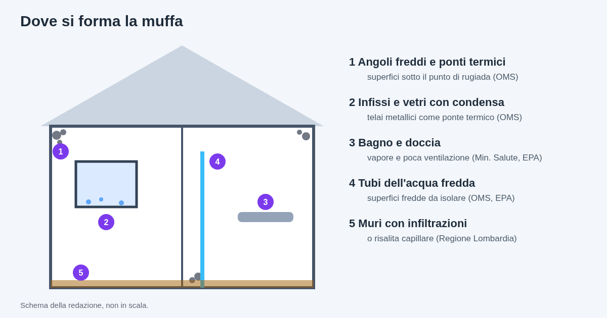 Sezione di una casa disegnata dalla redazione con i punti dove si forma più spesso la muffa: angoli freddi e ponti termici, infissi e vetri con condensa, bagno e doccia, tubi dell'acqua fredda, muri con infiltrazioni o risalita capillare