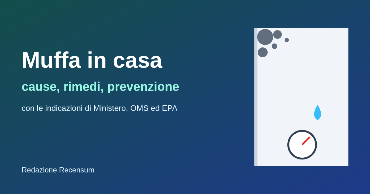 Muffa in casa: cause, come eliminarla e come prevenirla (2026)