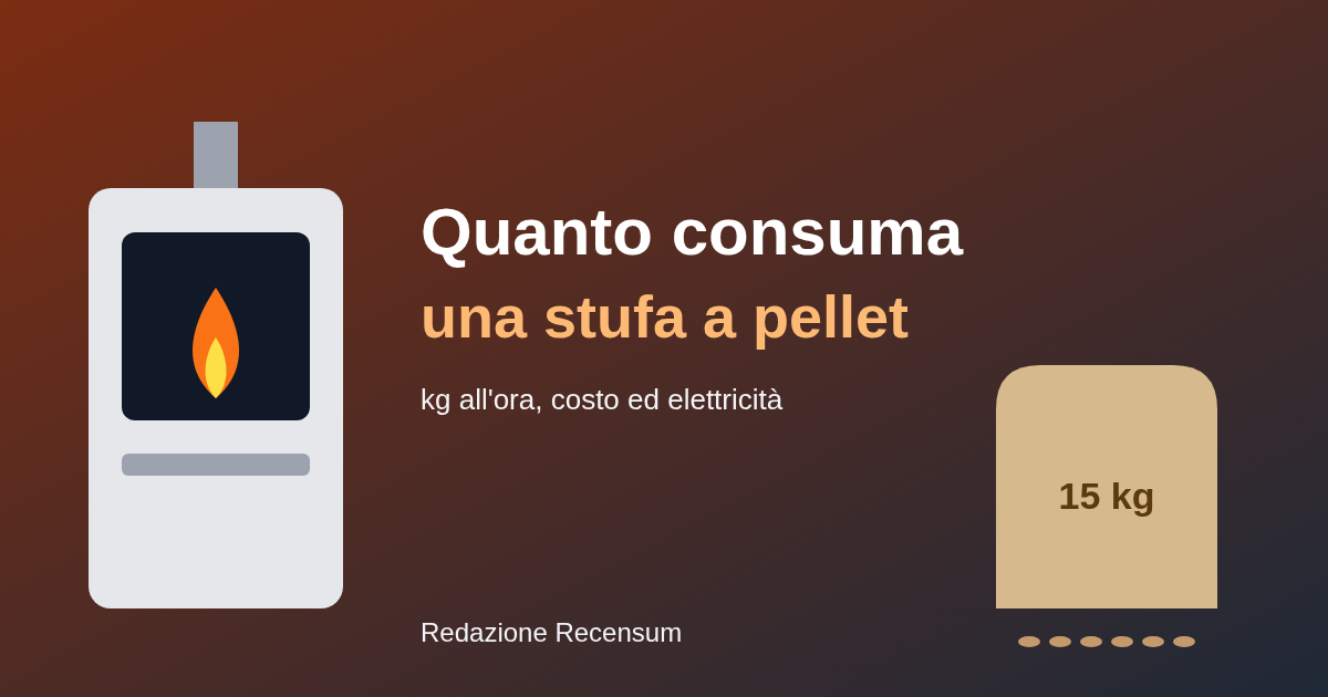 Quanto consuma una stufa a pellet e quanto costa all'ora (2026)